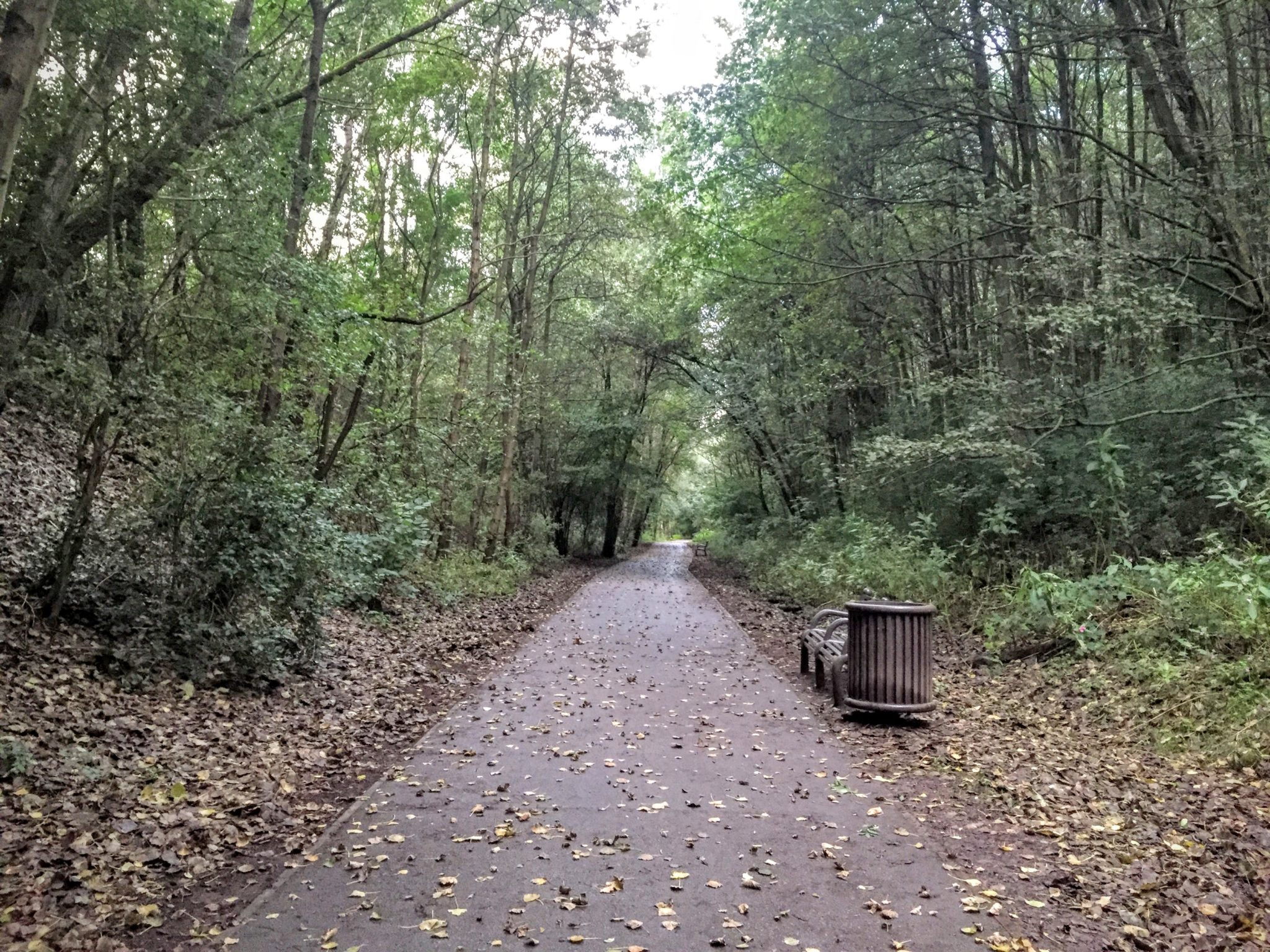 Explore Clayton Vale: A Nature Reserve for All Abilities
