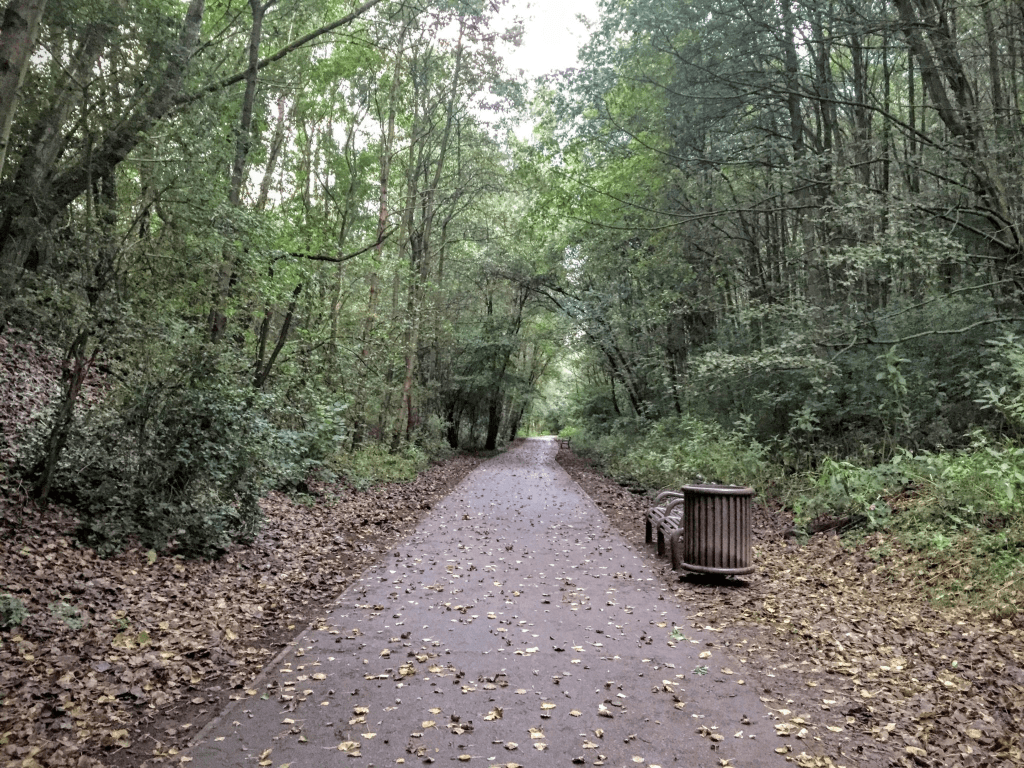Explore Clayton Vale: A Nature Reserve for All&nbsp;Abilities
