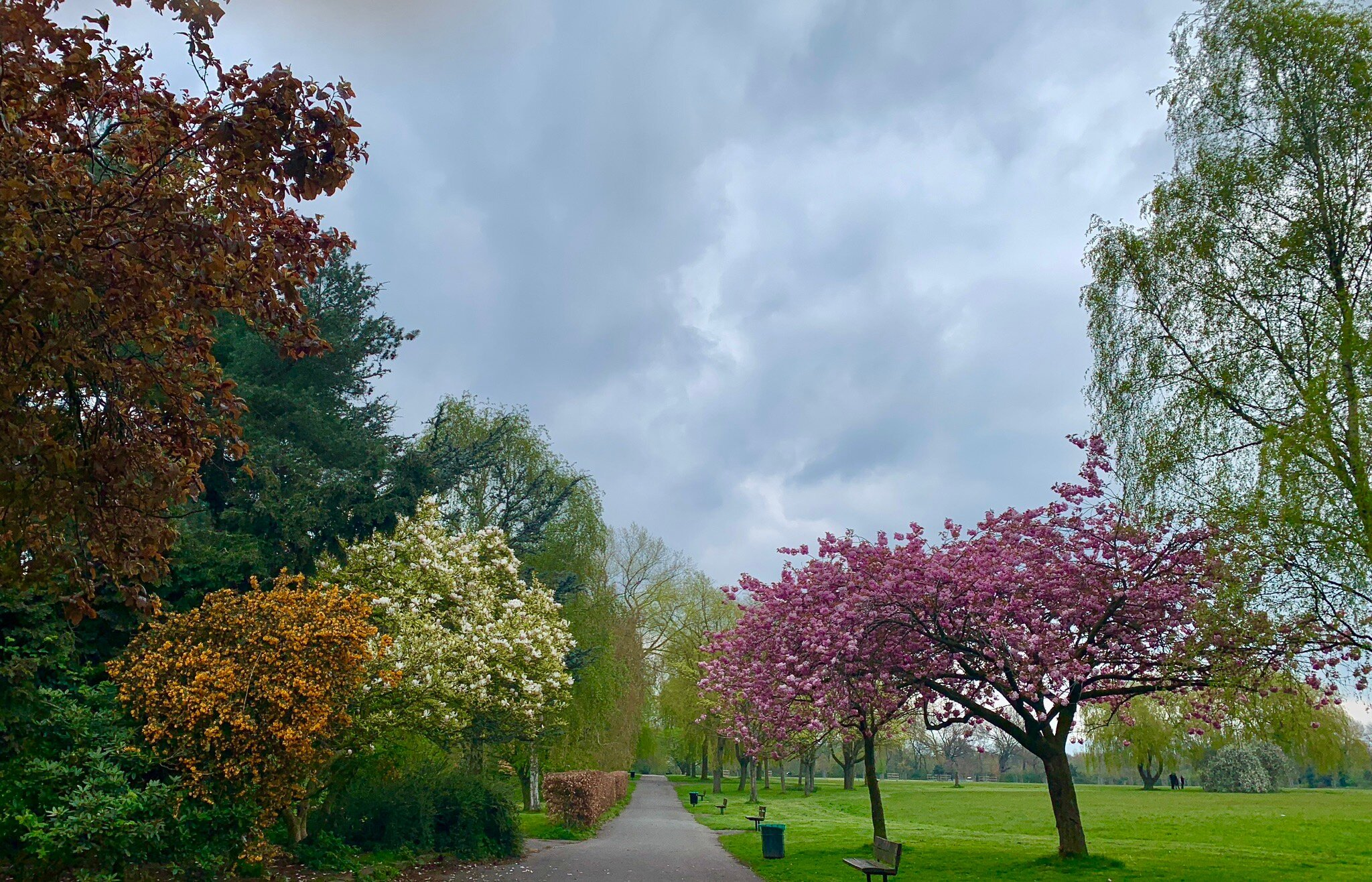 Visit Heaton Mersey Common: A Green Oasis for Disabled Visitors