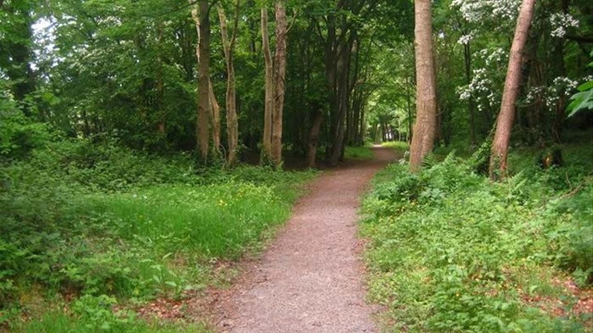 Accessible Clandeboye Way: A Guide for All