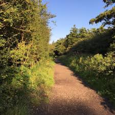 Discover Highfield Country Park: A Hidden Gem in&nbsp;Manchester